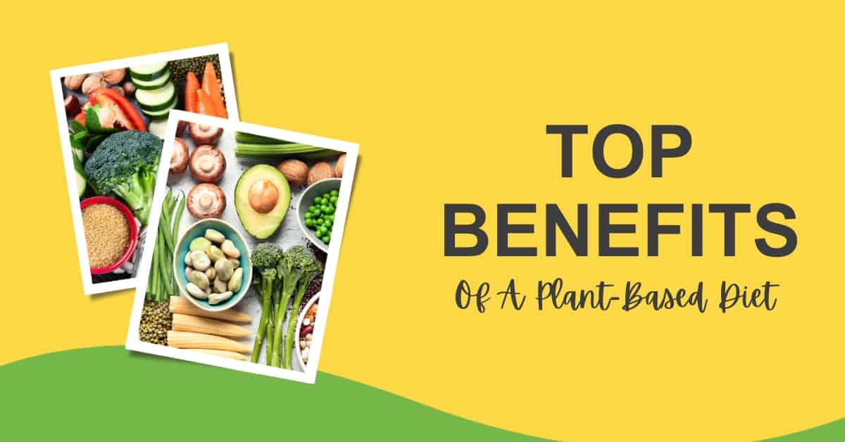 Top Benefits Of Plant-Based Diet