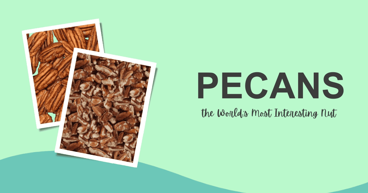 Pecans: Delicious & Nutritious